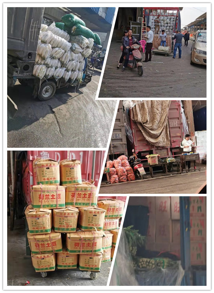 万利官网-相信品牌力量