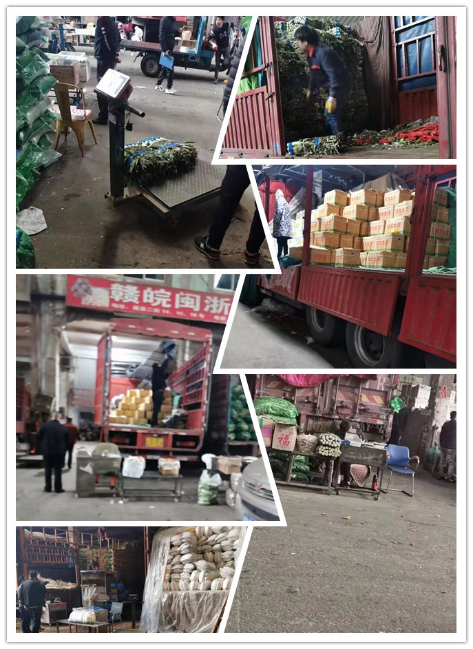 万利官网-相信品牌力量