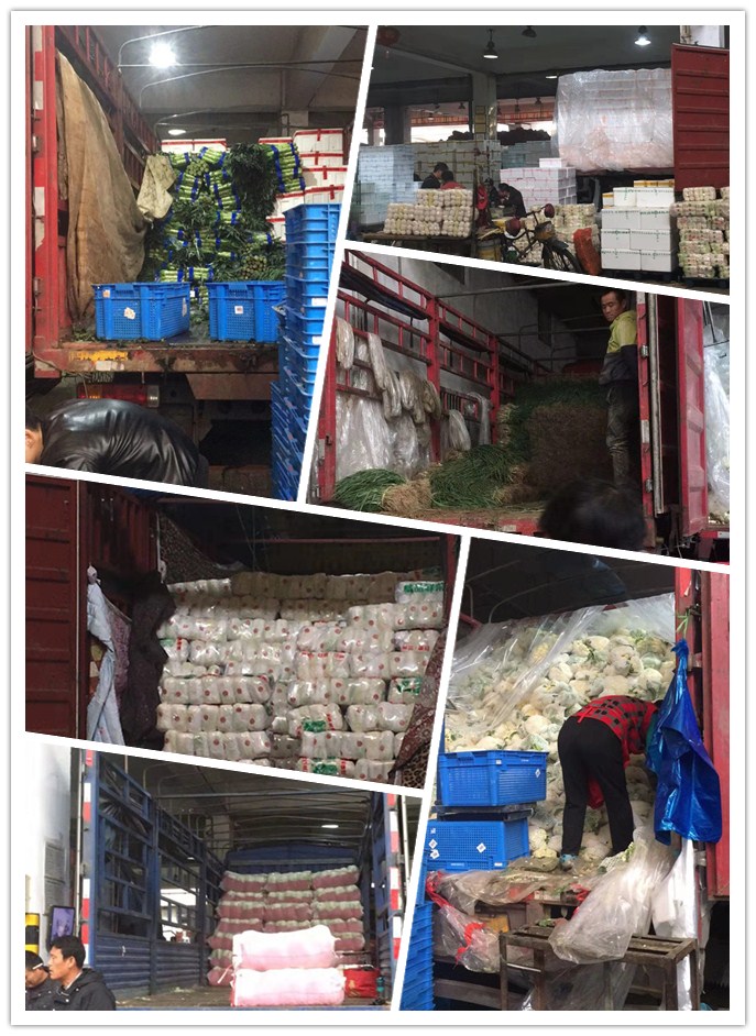 万利官网-相信品牌力量