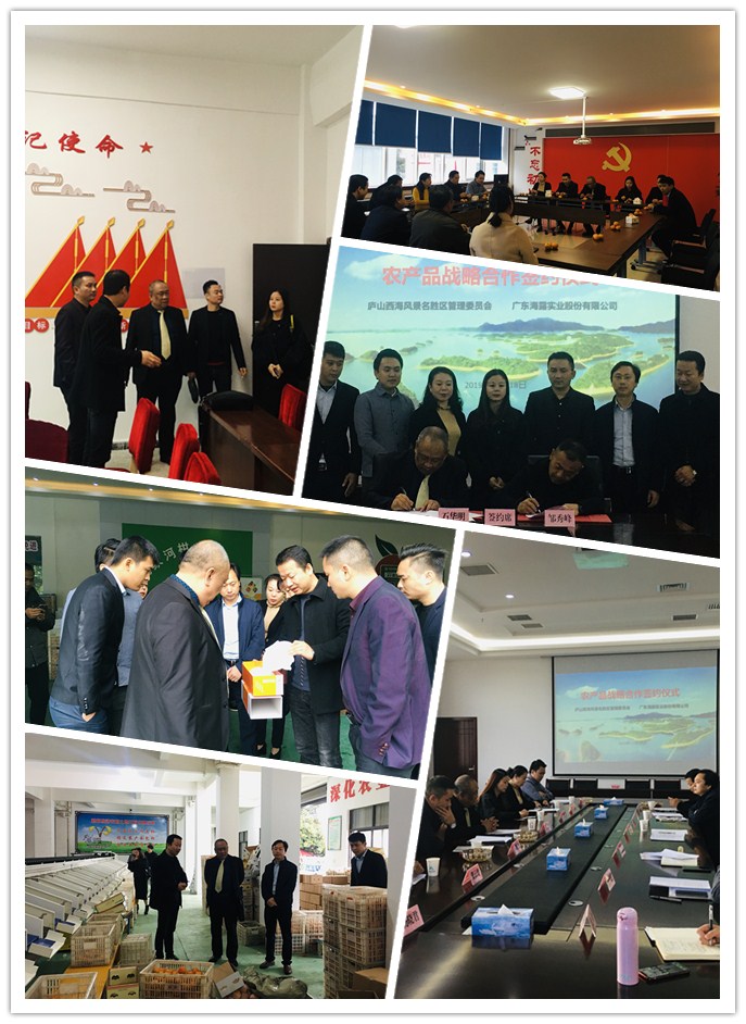 万利官网-相信品牌力量