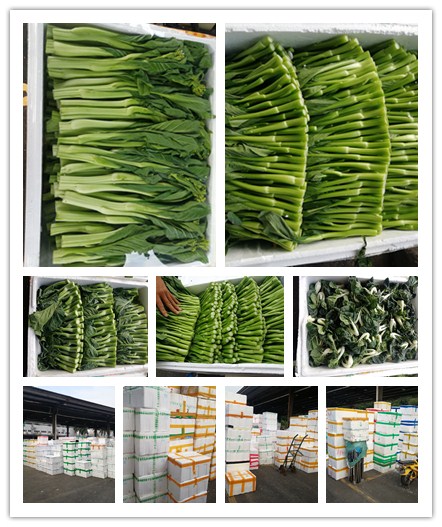 万利官网-相信品牌力量