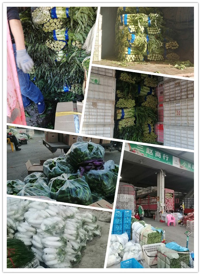 万利官网-相信品牌力量