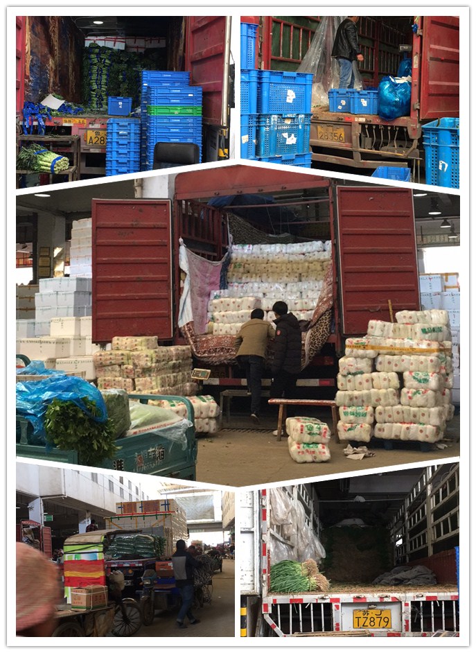 万利官网-相信品牌力量