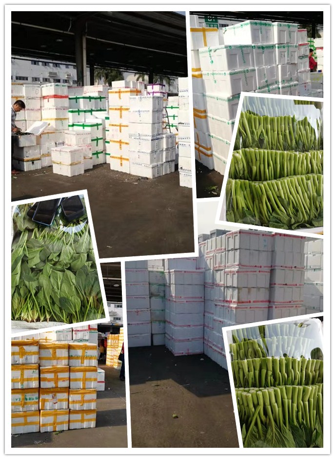 万利官网-相信品牌力量