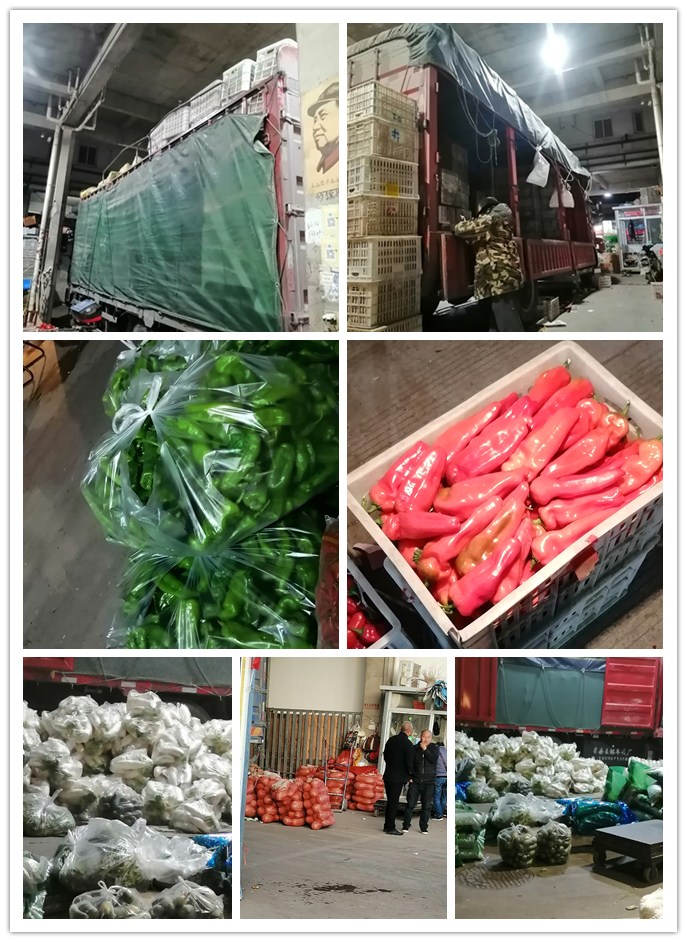 万利官网-相信品牌力量