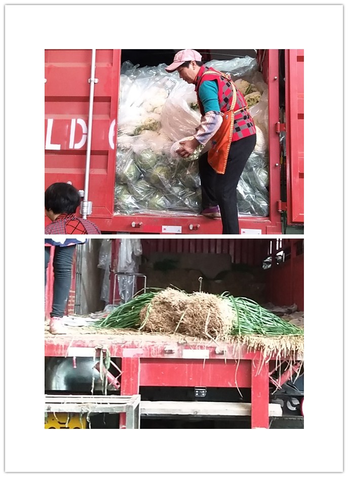 万利官网-相信品牌力量