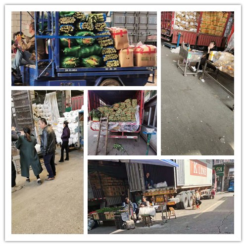 万利官网-相信品牌力量