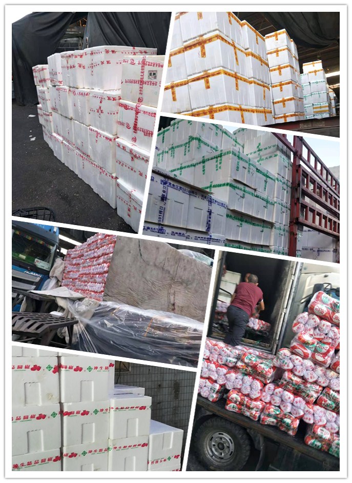 万利官网-相信品牌力量