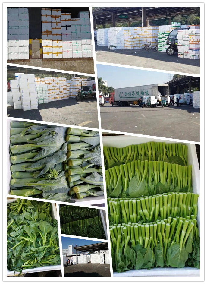 万利官网-相信品牌力量