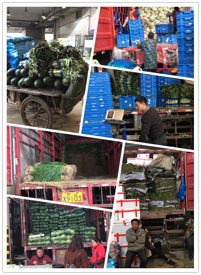 万利官网-相信品牌力量