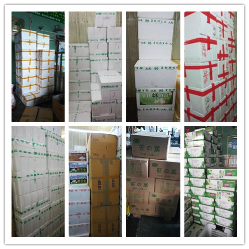 万利官网-相信品牌力量