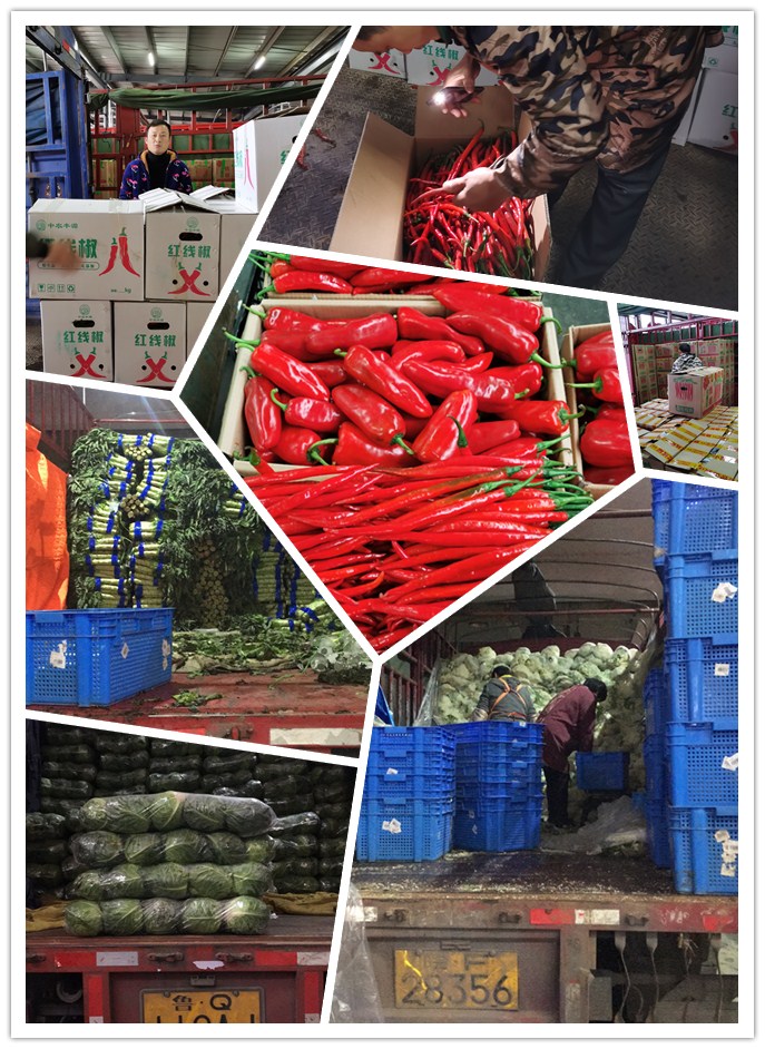 万利官网-相信品牌力量