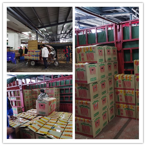 万利官网-相信品牌力量