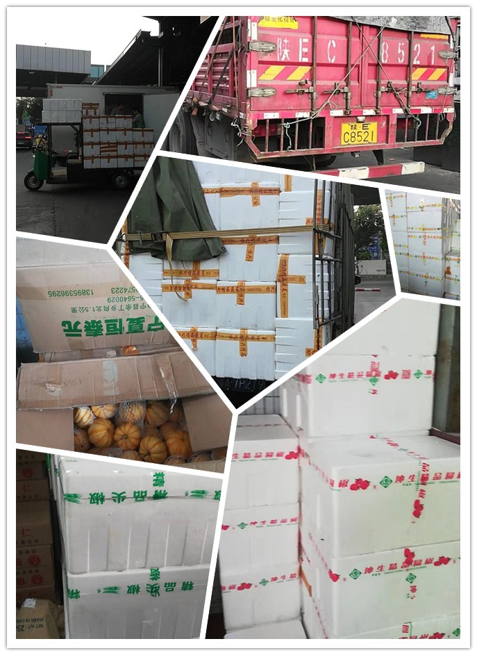 万利官网-相信品牌力量