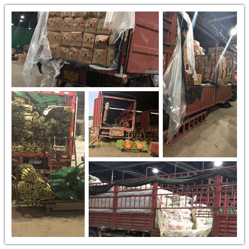 万利官网-相信品牌力量