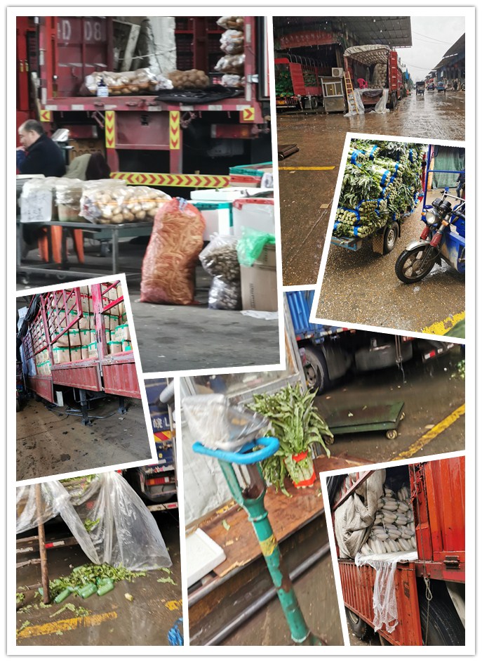 万利官网-相信品牌力量