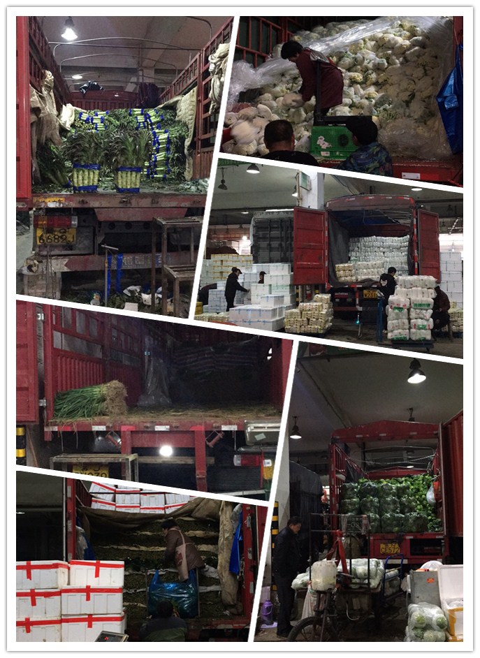 万利官网-相信品牌力量