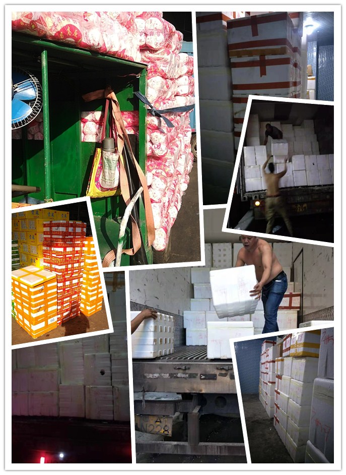 万利官网-相信品牌力量