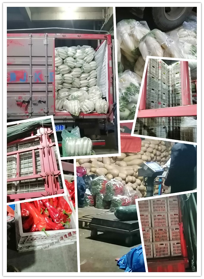 万利官网-相信品牌力量