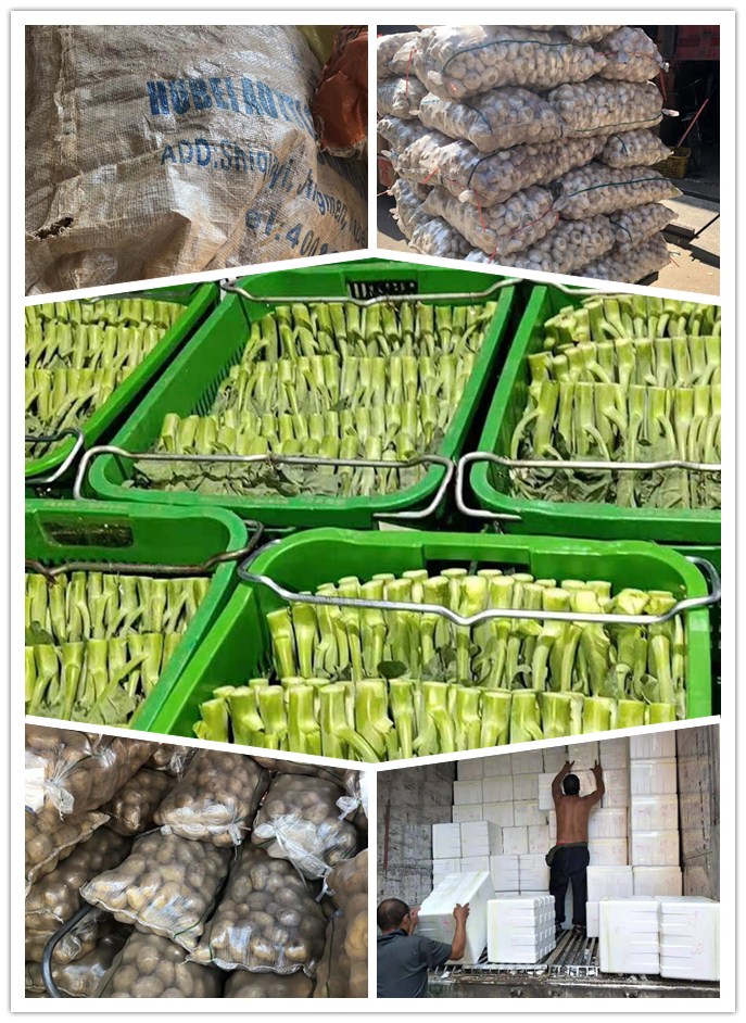 万利官网-相信品牌力量