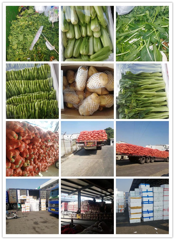 万利官网-相信品牌力量