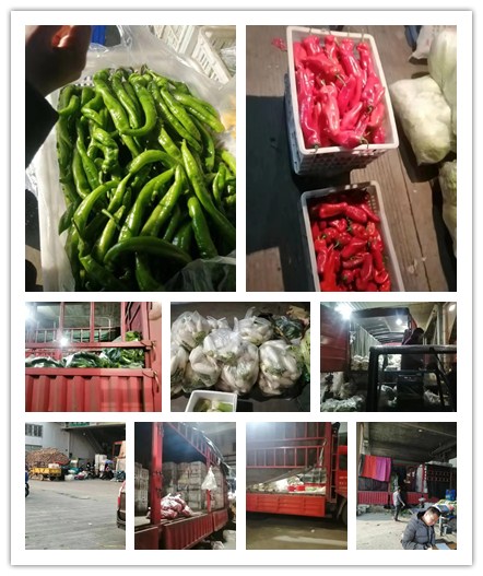 万利官网-相信品牌力量