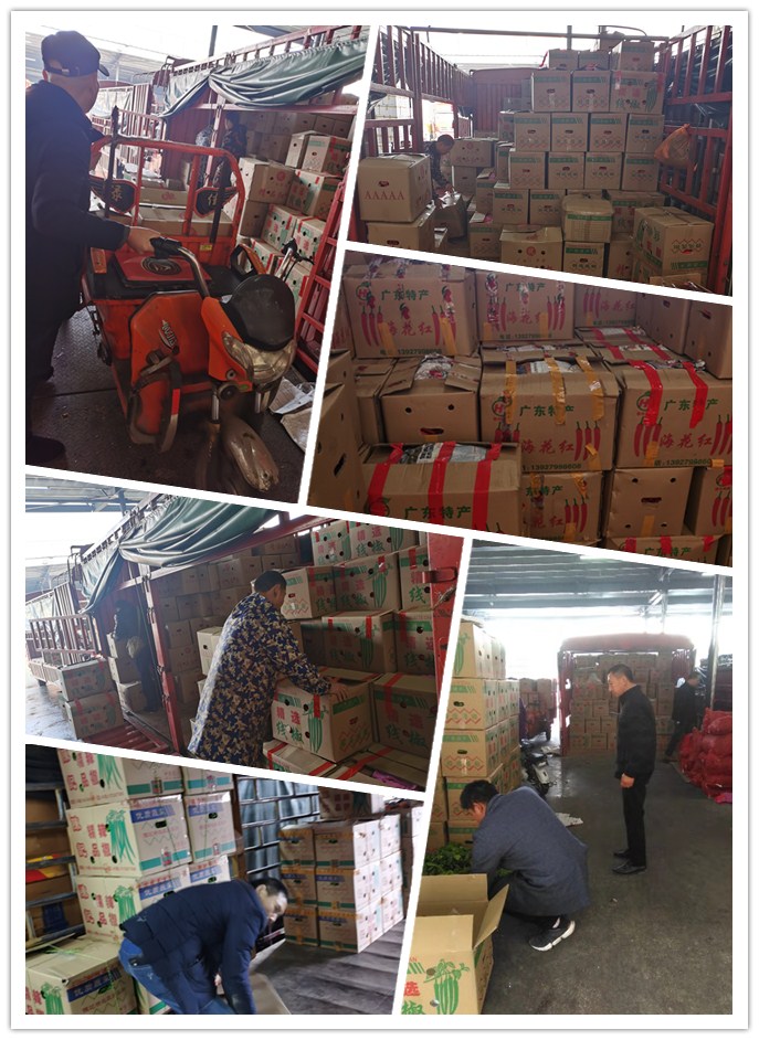 万利官网-相信品牌力量