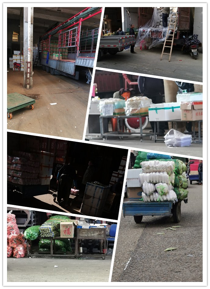 万利官网-相信品牌力量