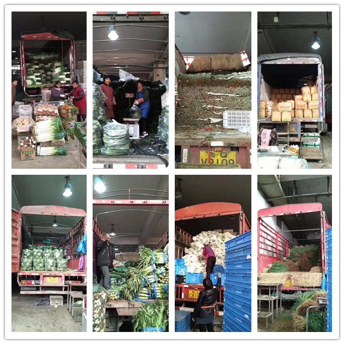 万利官网-相信品牌力量