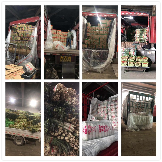 万利官网-相信品牌力量