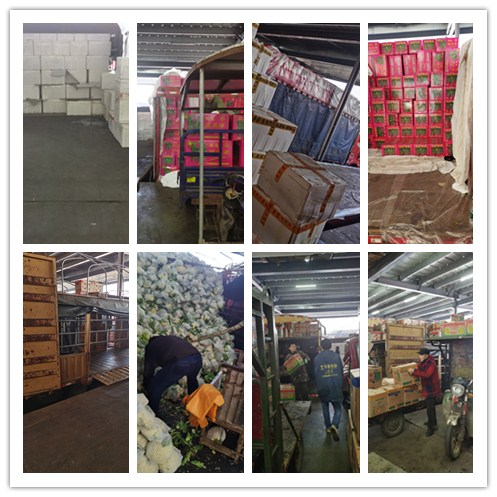 万利官网-相信品牌力量