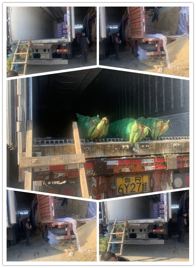 万利官网-相信品牌力量