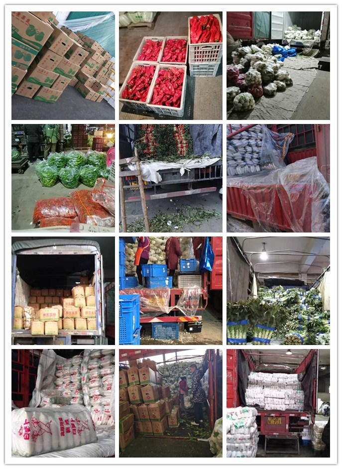 万利官网-相信品牌力量