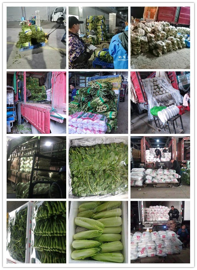 万利官网-相信品牌力量