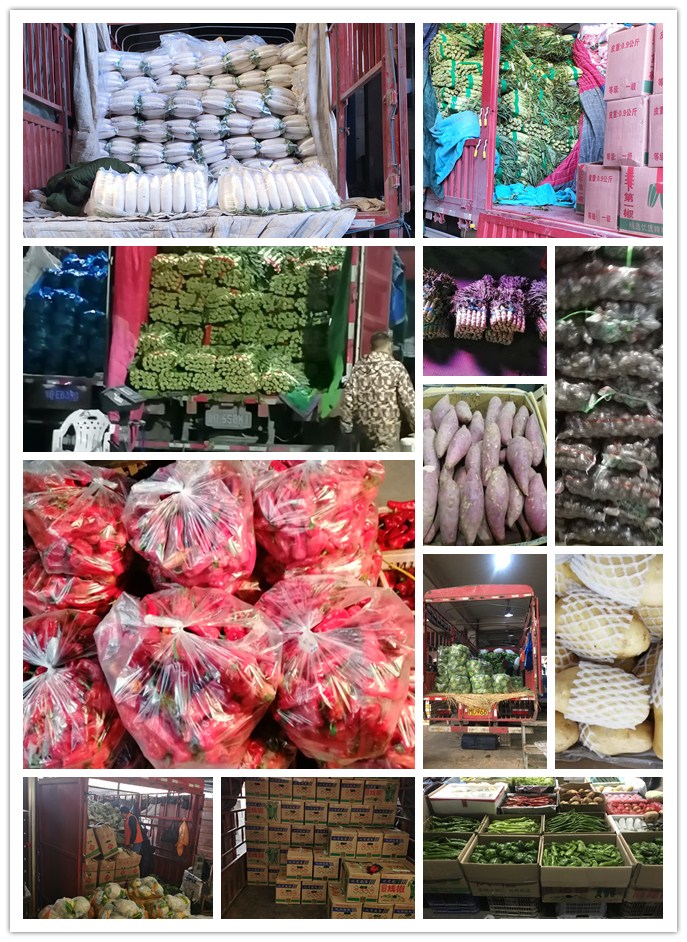 万利官网-相信品牌力量