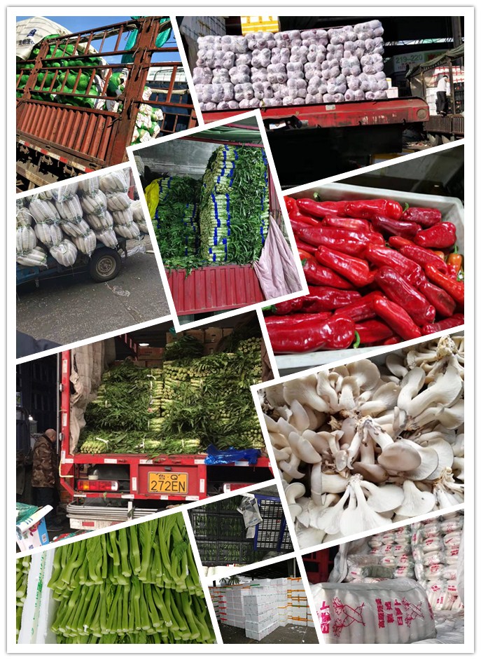 万利官网-相信品牌力量