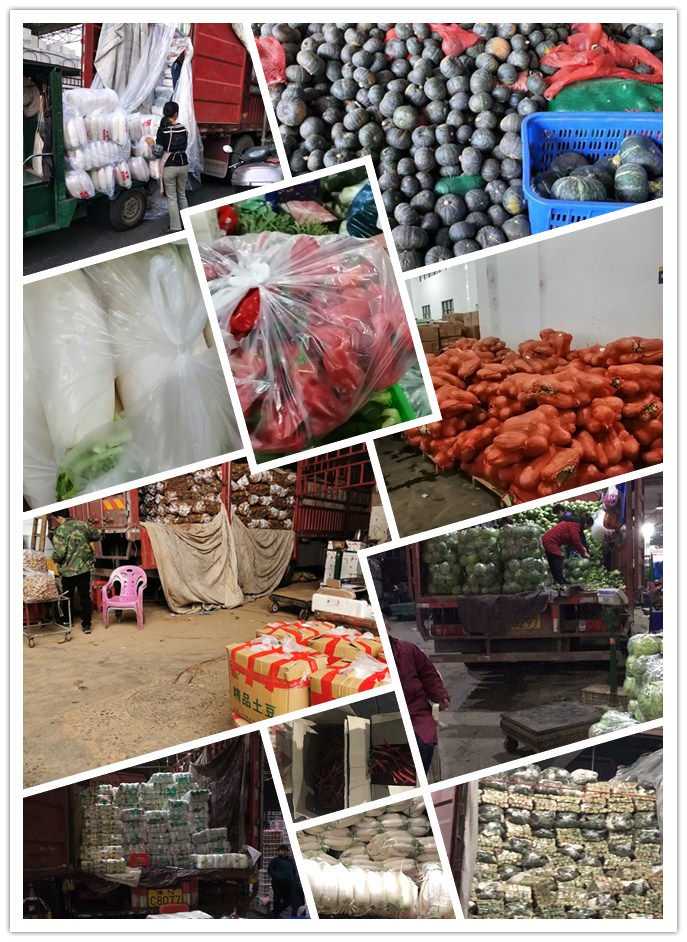 万利官网-相信品牌力量