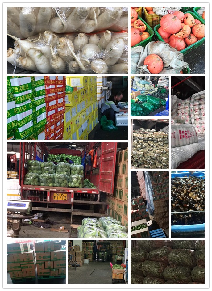 万利官网-相信品牌力量