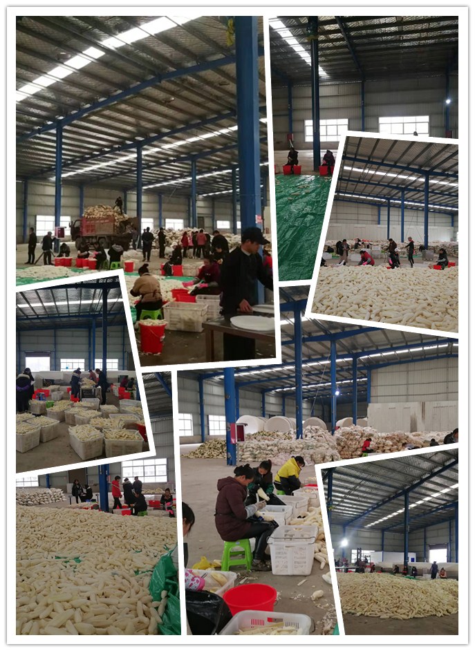 万利官网-相信品牌力量