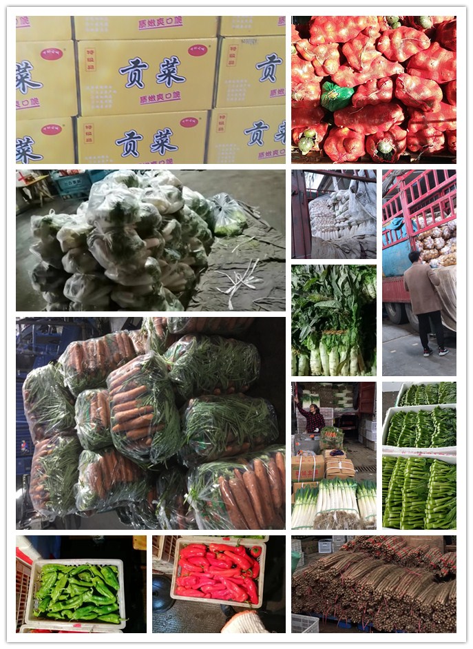 万利官网-相信品牌力量