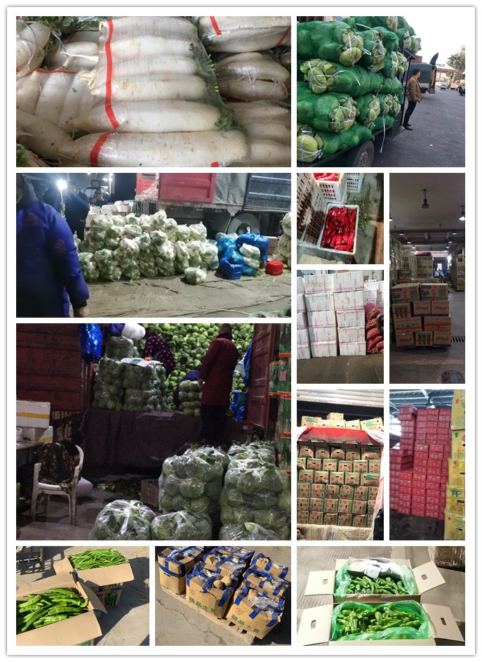 万利官网-相信品牌力量