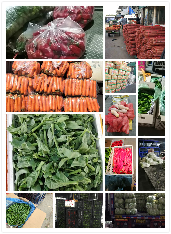 万利官网-相信品牌力量