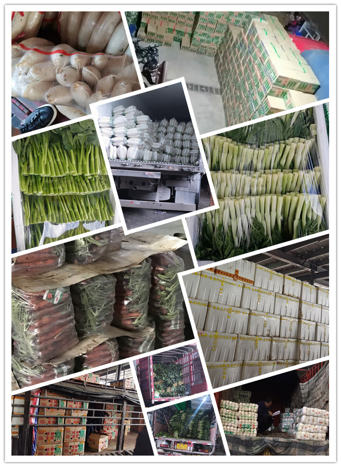 万利官网-相信品牌力量