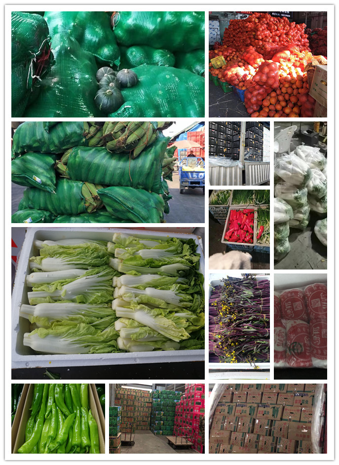 万利官网-相信品牌力量