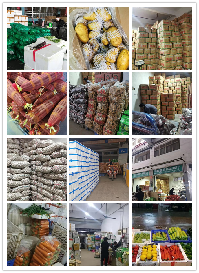 万利官网-相信品牌力量