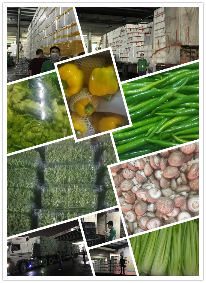 万利官网-相信品牌力量