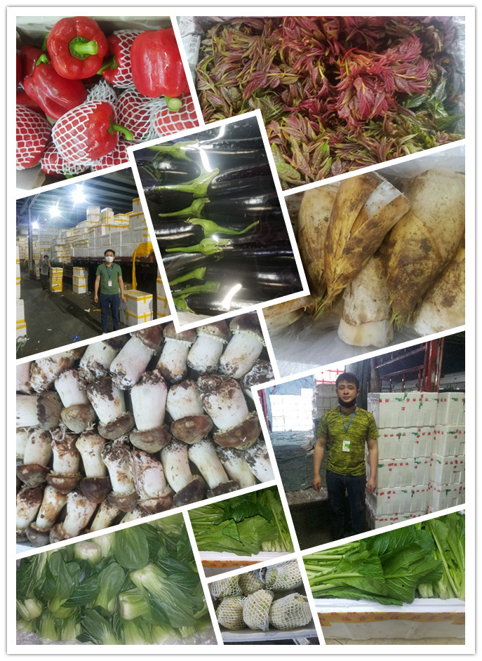 万利官网-相信品牌力量