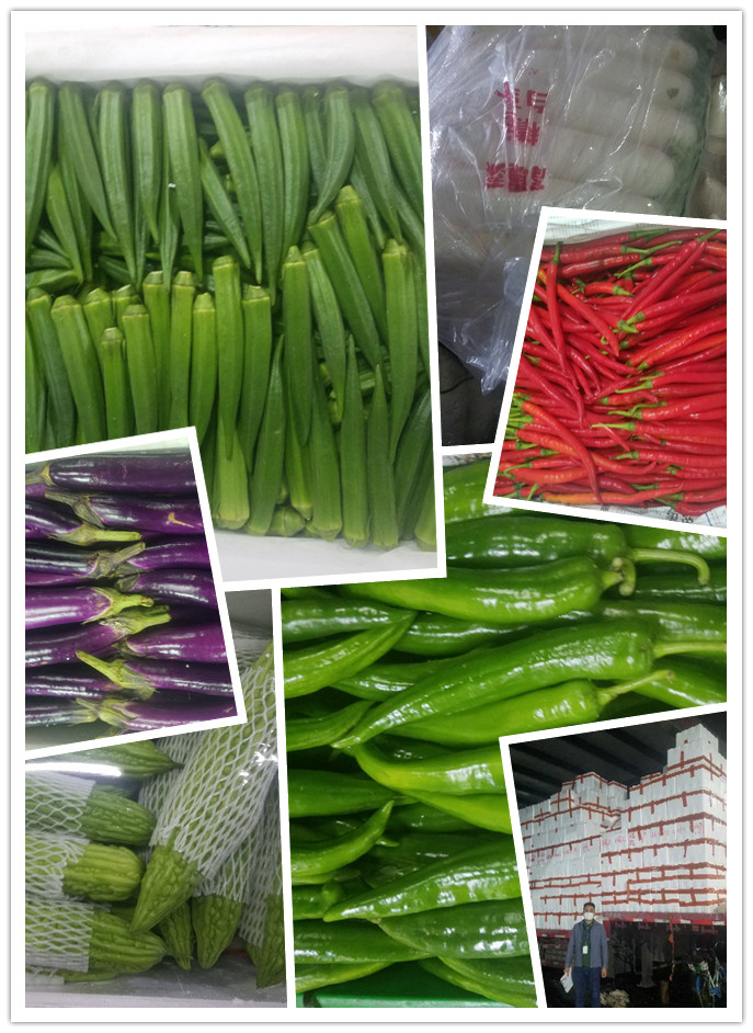 万利官网-相信品牌力量