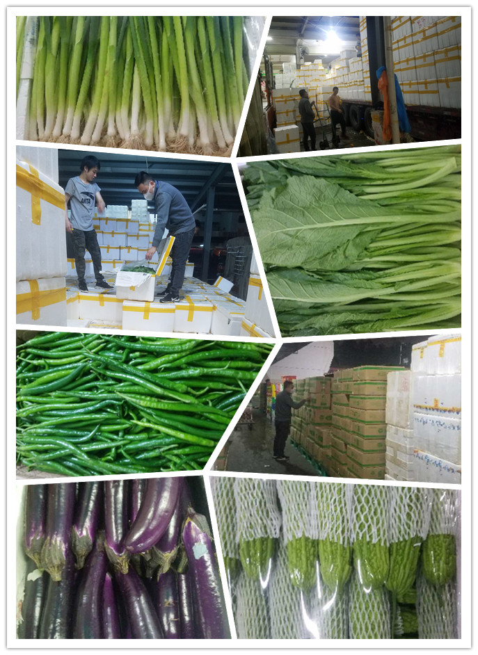 万利官网-相信品牌力量