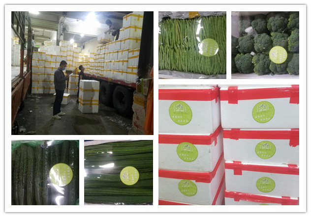 万利官网-相信品牌力量